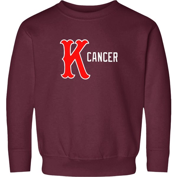 Baseball Boston Red Sweatshirts, The Jimmy Fund K Cancer Sweatshirts-image