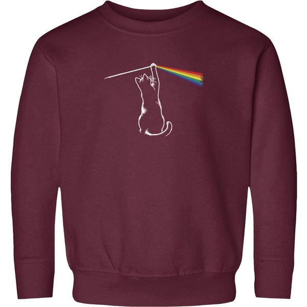 Pink Cat Floyd Music Vinyl Funny Sweatshirts, Gift For Music Lover-image