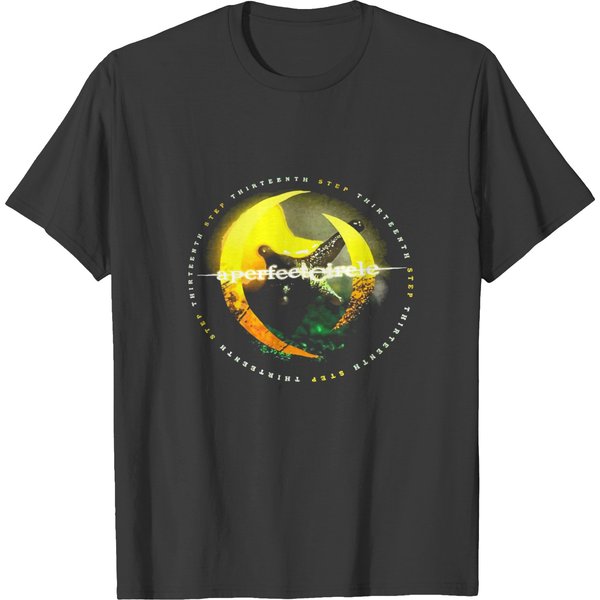 A Perfect Circle Thirteenth Step Our First Step Tour 2003 T-Shirts-image