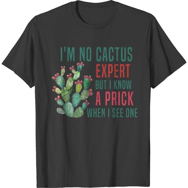 I'm No Cactus Expert But I Know A Prick When I See T Shirts-image