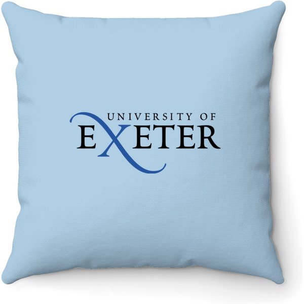 University Of Exeter Throw Pillows-image