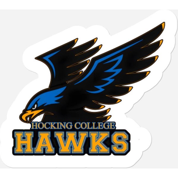 Hocking College Eagle In Nelsonville Ohio Stickers-image