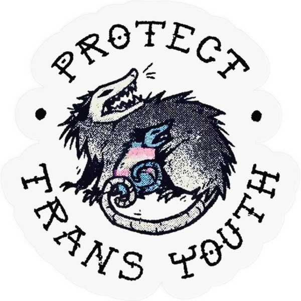 Protect Trans Youth Possum Support Trangender Lgbt Pride Stickers-image