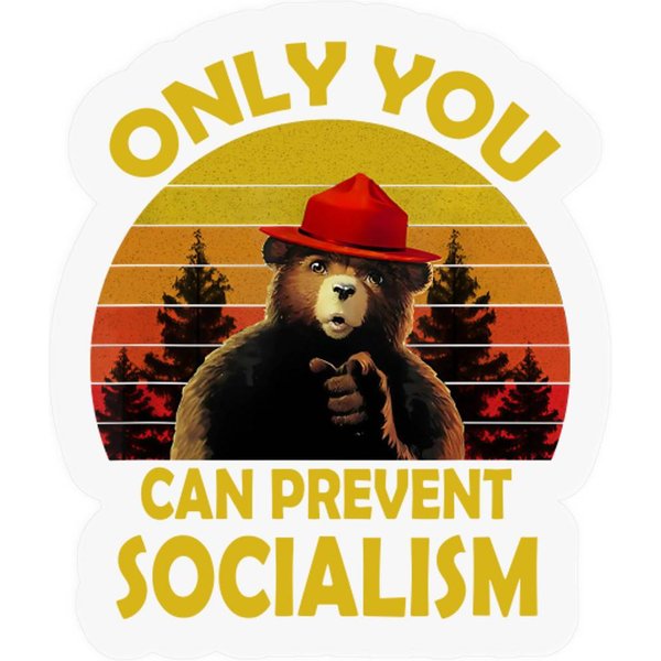Only You Can Prevent Forest Fires Stickers Vintage Funny Only You Can Prevent Socialism Bear Camping-image