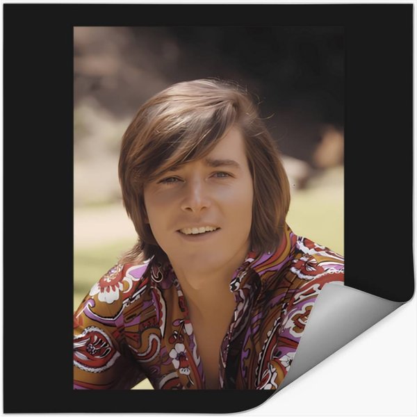 Bobby Sherman Handsome T-Shirt Stickers-image