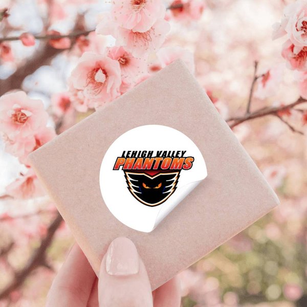 Lehigh Valley Phantoms Stickers-image