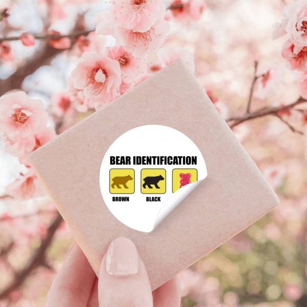 Bear Identification Funny Stickers-image