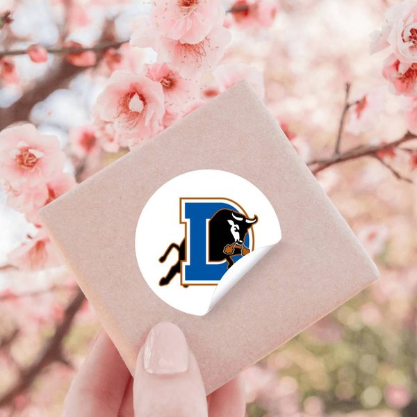 Durham Bulls Stickers-image