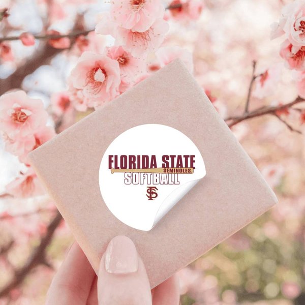 FlóRida State Seminoles Softball Hit Officially Licensed Stickers-image
