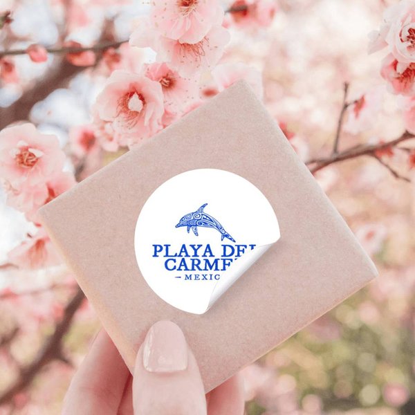 Playa Del Carmen Mexico Dolphin Boys Girls 2024 Vacation Gift Stickers-image