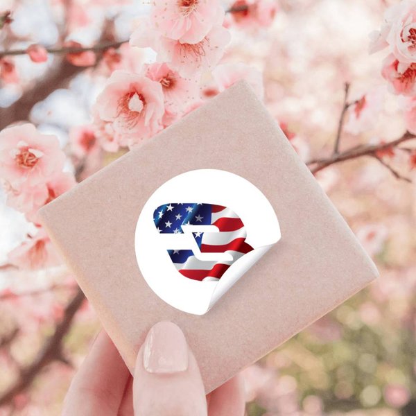 Earnhardt Usa 3 Stickers-image