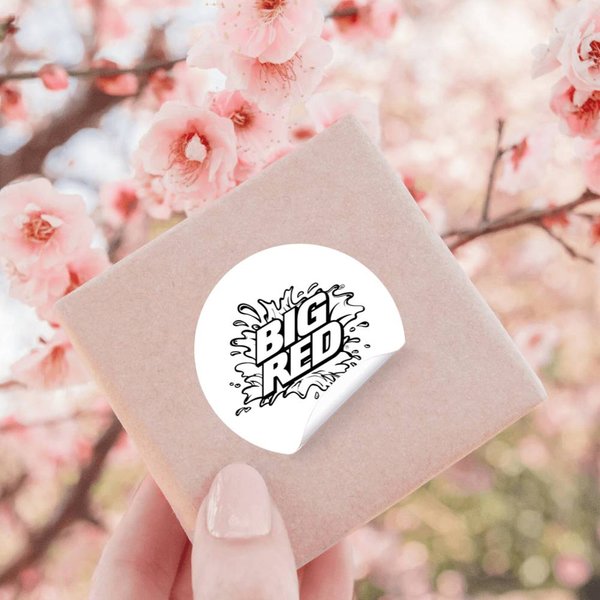 Big Red Fizzy Drink Stickers-image