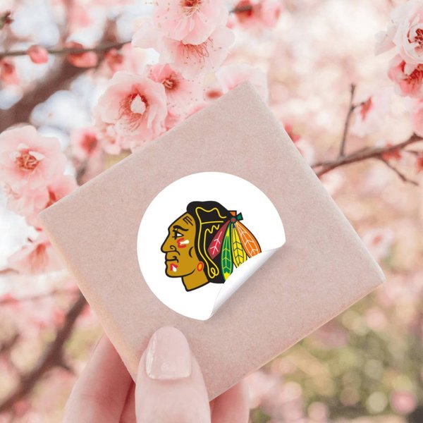Chicago Blackhawk Logo Stickers-image