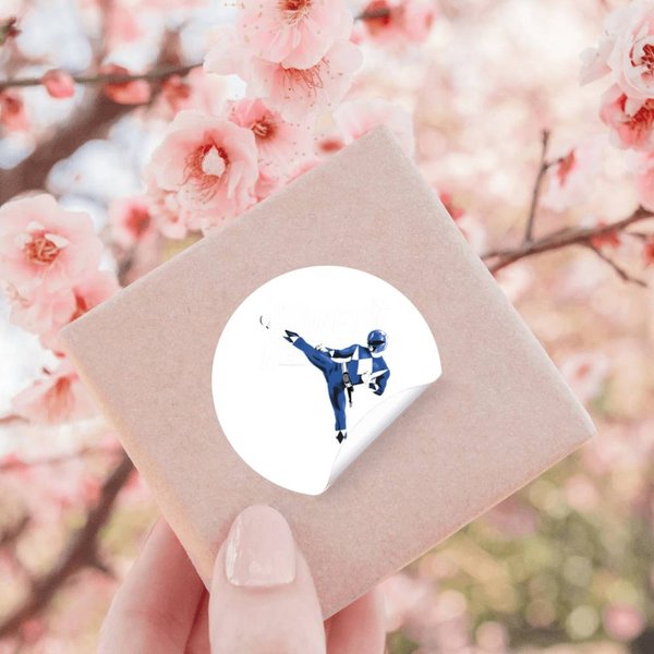 Power Rangers Blue Ranger Action Pose Logo Stickers-image
