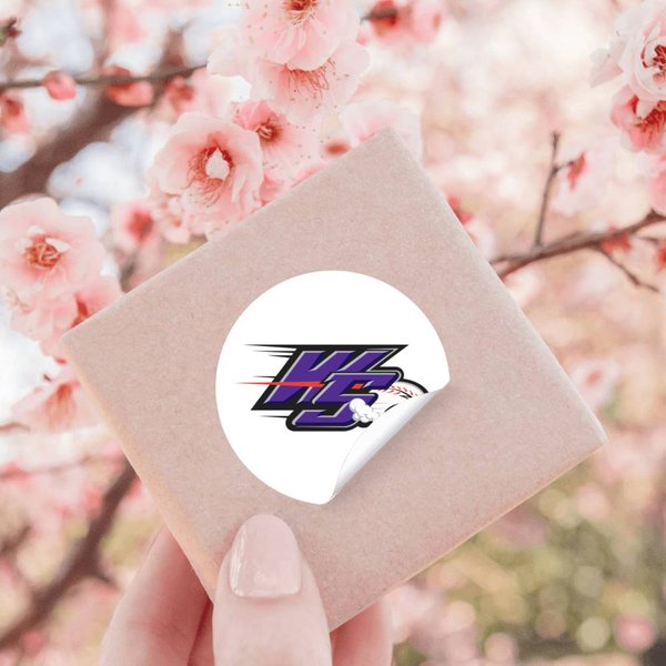 Winston-Salem Dash Stickers-image