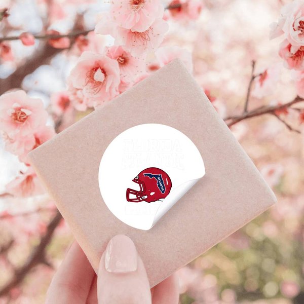 Atlantic University Fau Owls Football Helmet Stickers-image