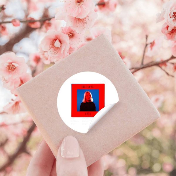 99 Snail Mail - Lush Tracklist Album T-Shirt Stickers-image