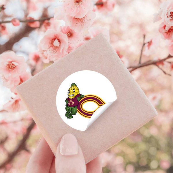 College Of Concordia Cobbers Athletic Stickers-image