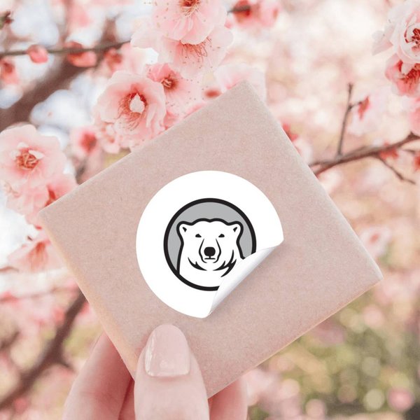 College Of Bowdoin Polar Bears Athletic Stickers-image