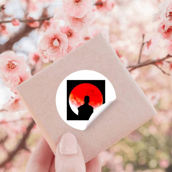 Kid Cudi Music 12 Stickers-image