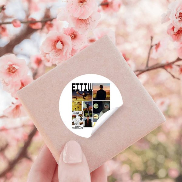 Justin Timberlake Everything I Thought It Was Stickers-image
