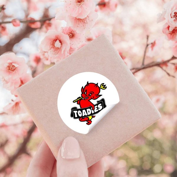 Toadies Band In Tour Concert Music Stickers-image
