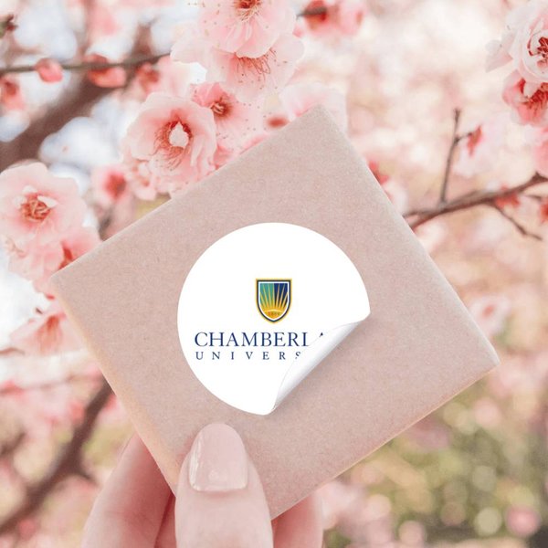 Chamberlain College Stickers-image