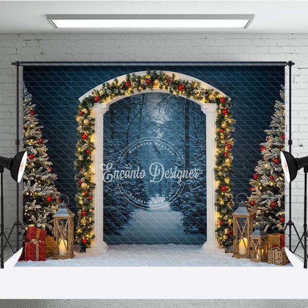 Aperturee Winter Wonderland Arch Photography Backdrop, Snowy Christmas Forest Scene, Holiday Mini Session Background, 3x2ft (WxH)
