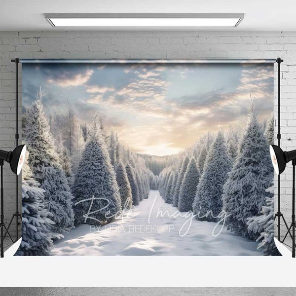 Aperturee Winter Wonderland Backdrop, Snowy Pine Forest Path Sunset Sky Nature Photo Background, Landscape