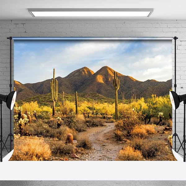 Aperturee Desert Gobi Cactus Mountain Sky Photography Backdrop, 3X2FT(1MX0.6M), 14 USD, natural scenery backdrops, NYHD12807992-M