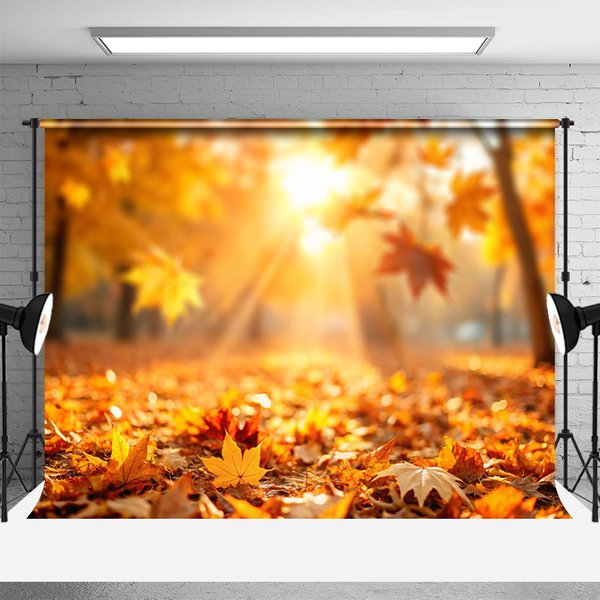 Aperturee Fallen Leaves Under Sunshine Bokeh Autumn Backdrop, 3X2FT(1MX0.6M), 14 USD, autumn backdrops, ZYHD3L00-M