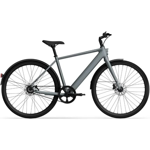 TENWAYS CGO600 PRO Elektrische Herenfiets M (1.70m - 1.80m)