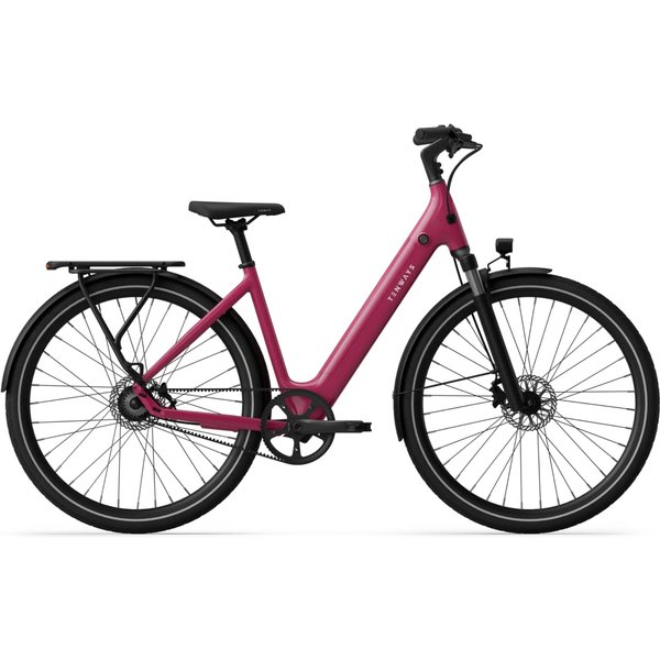 TENWAYS CGO800S Elektrische Damesfiets 48cm