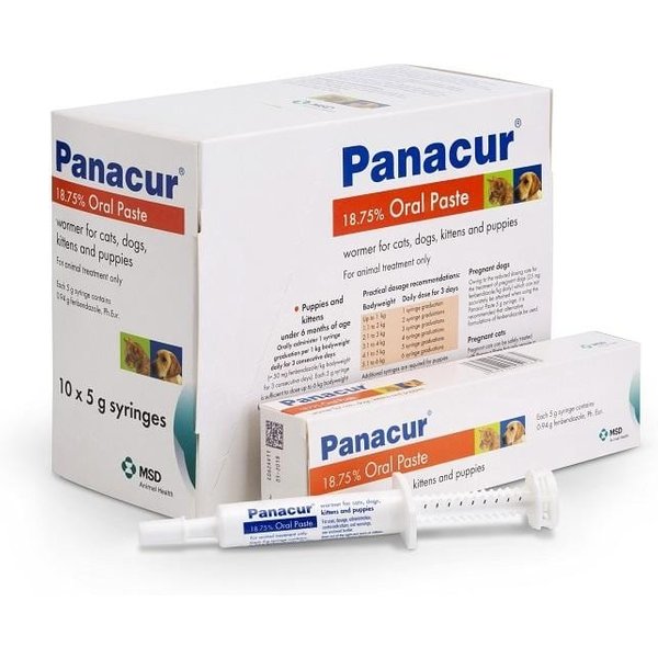 Panacur Oral Paste for Cats and Dogs - Single syringe