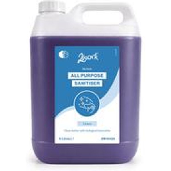 2Work BioTech Concentrated All-Purpose Sanitiser 10 Litres