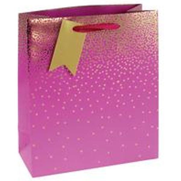 Eurowrap Ombre Medium Gift Bags (Pack of 6)