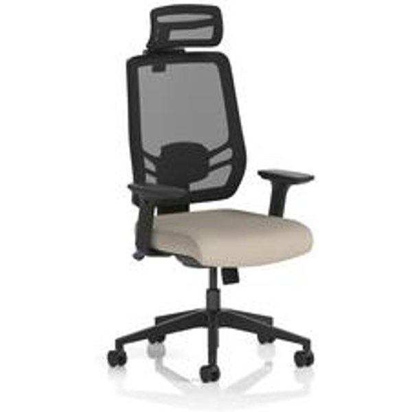 Ergo Twist Mesh Back Ergonomic Office Chair with Adjustable Arms and Headrest