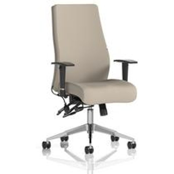 Onyx Ergo Posture Chair with Adjustable Arms and Back