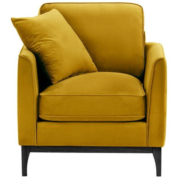 Linara Armchair, mustard, Leg colour: black