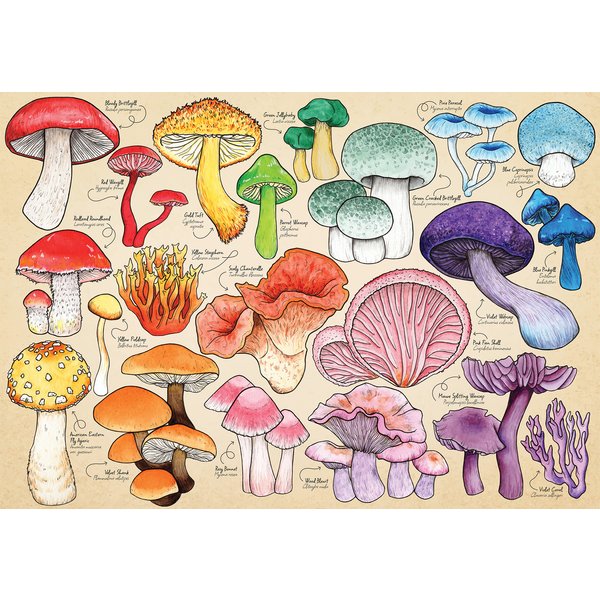 Puzzle La Manie Des Champignons Hop - House Of Puzzles-image