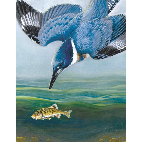 Puzzle Belted Kingfisher New York Puzzle Company-image