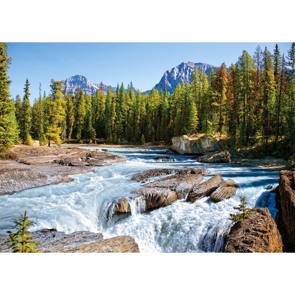 Puzzle Canada, Parc National De Jasper : RivièRe Athabasca Castorland-image