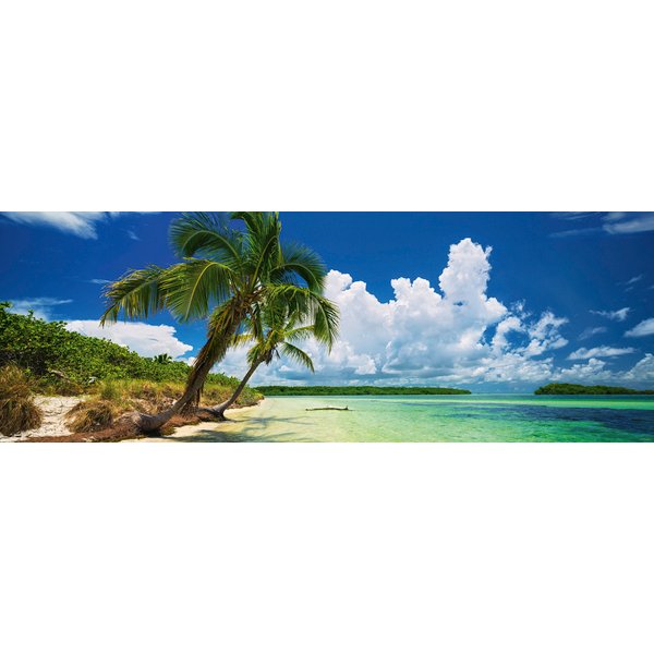 Edition Alexander Von Humboldt - Puzzle Panoramique - Paradise Palms-image