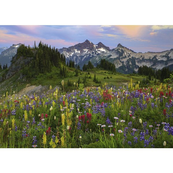 Puzzle Edition Alexander Von Humboldt - Tatoosh Mountains Heye-image