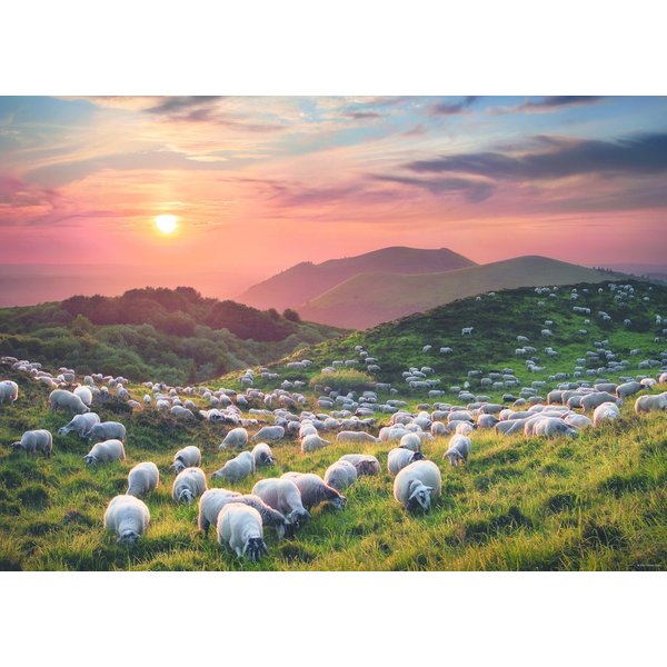 Puzzle Edition Alexander Von Humboldt - Sheep And Volcanoes Heye-image