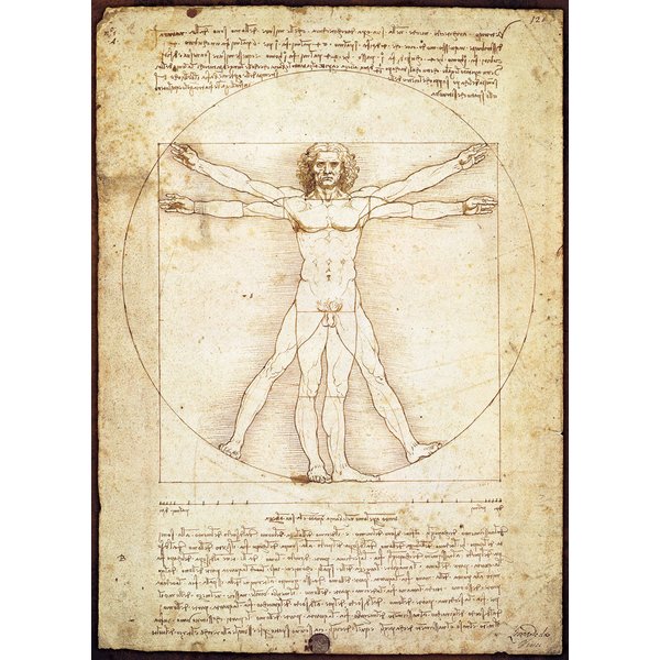 Puzzle Leonard De Vinci : L'homme De Vitruve Eurographics-image
