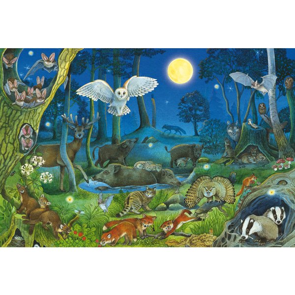 Puzzle Animaux Dans La ForêT Nocturne Schmidt Spiele-image