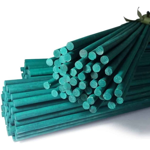 Green Split Bamboo Canes / Support Sticks | 12", 24", & 36" Sizes