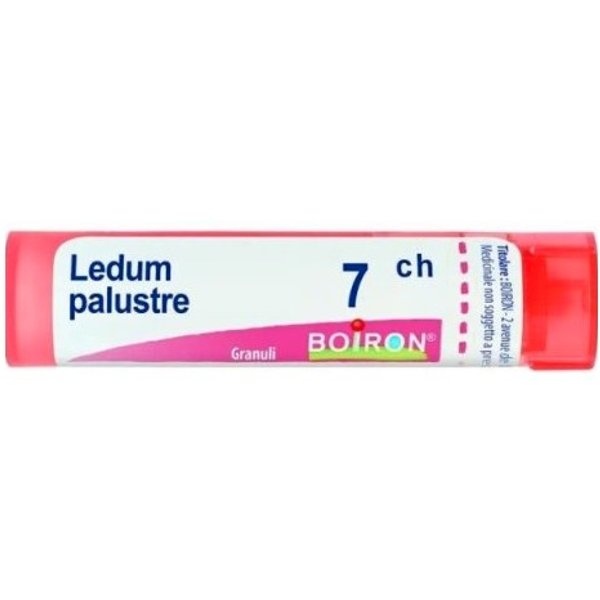 Ledum Palustre 7CH 80 Granuli Boiron-image