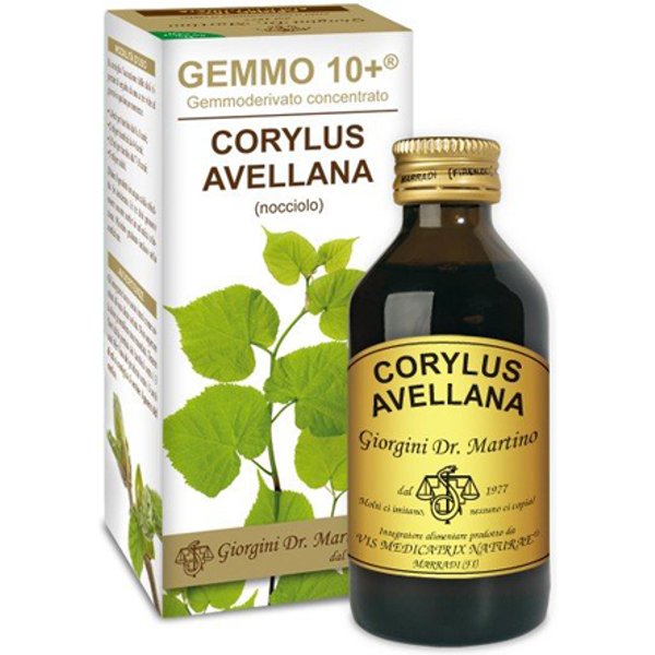 Nocciolo 100ML Analco GEM 10+-image